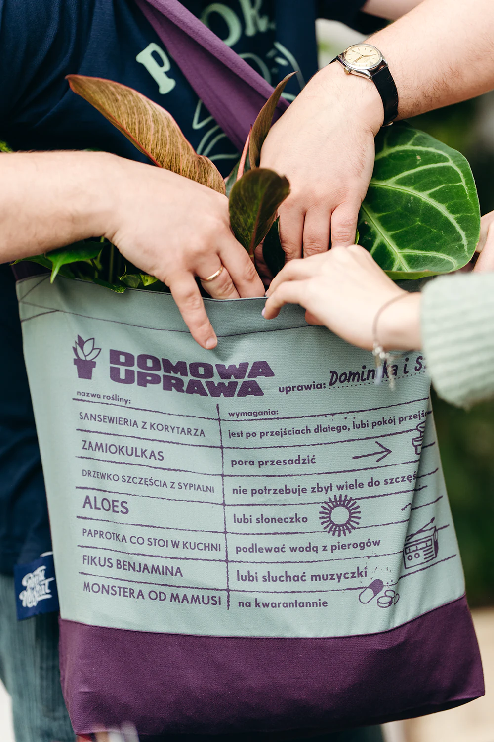 torba Domowa Uprawa