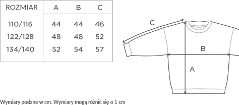 bluza truskawki.png